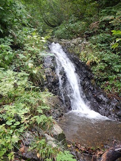 c0359615_21234909.jpg