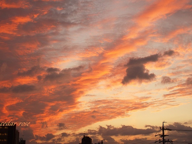 e0339317_23093637.jpg