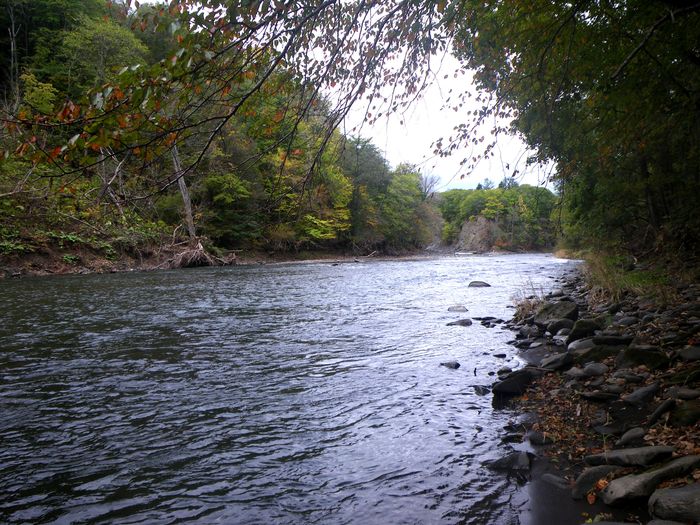 a0245819_1924535.jpg