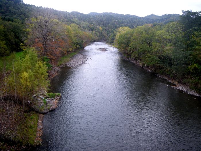 a0245819_1932197.jpg