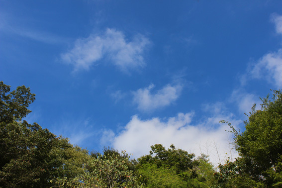 a0329820_15563476.jpg