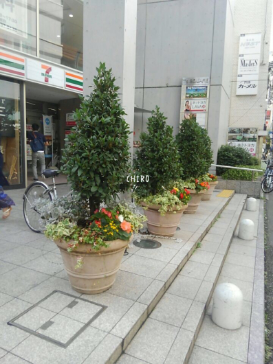 f0293522_01560887.jpg