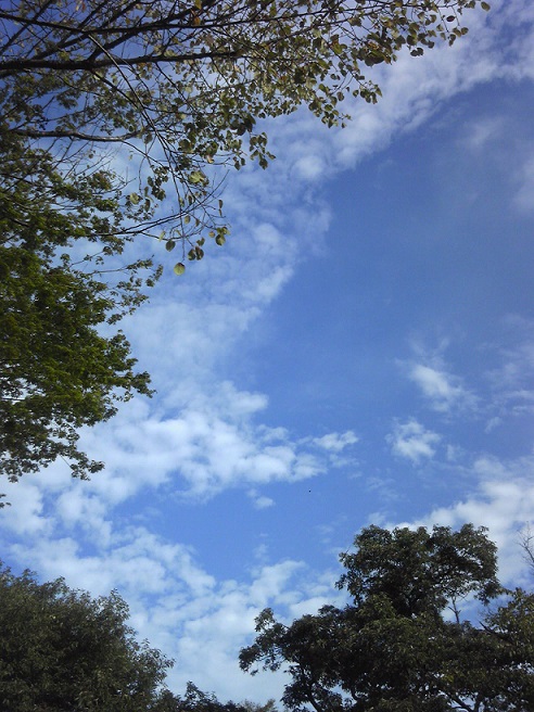 d0060425_21384170.jpg
