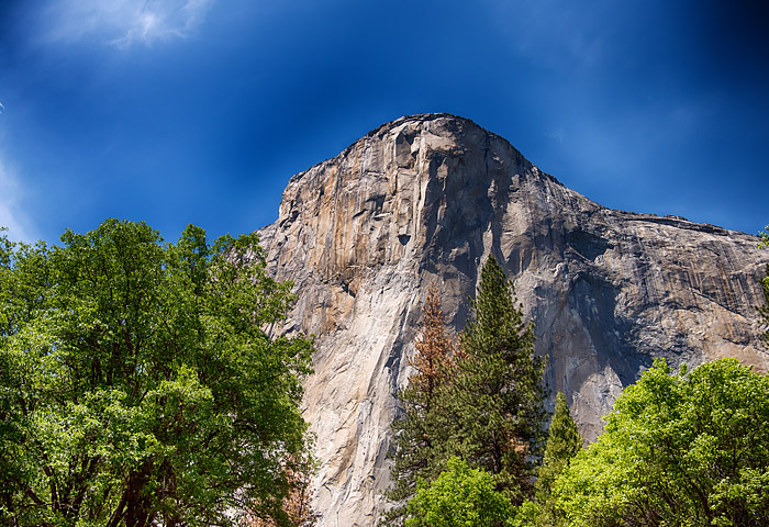 b0085526_14503352.jpg