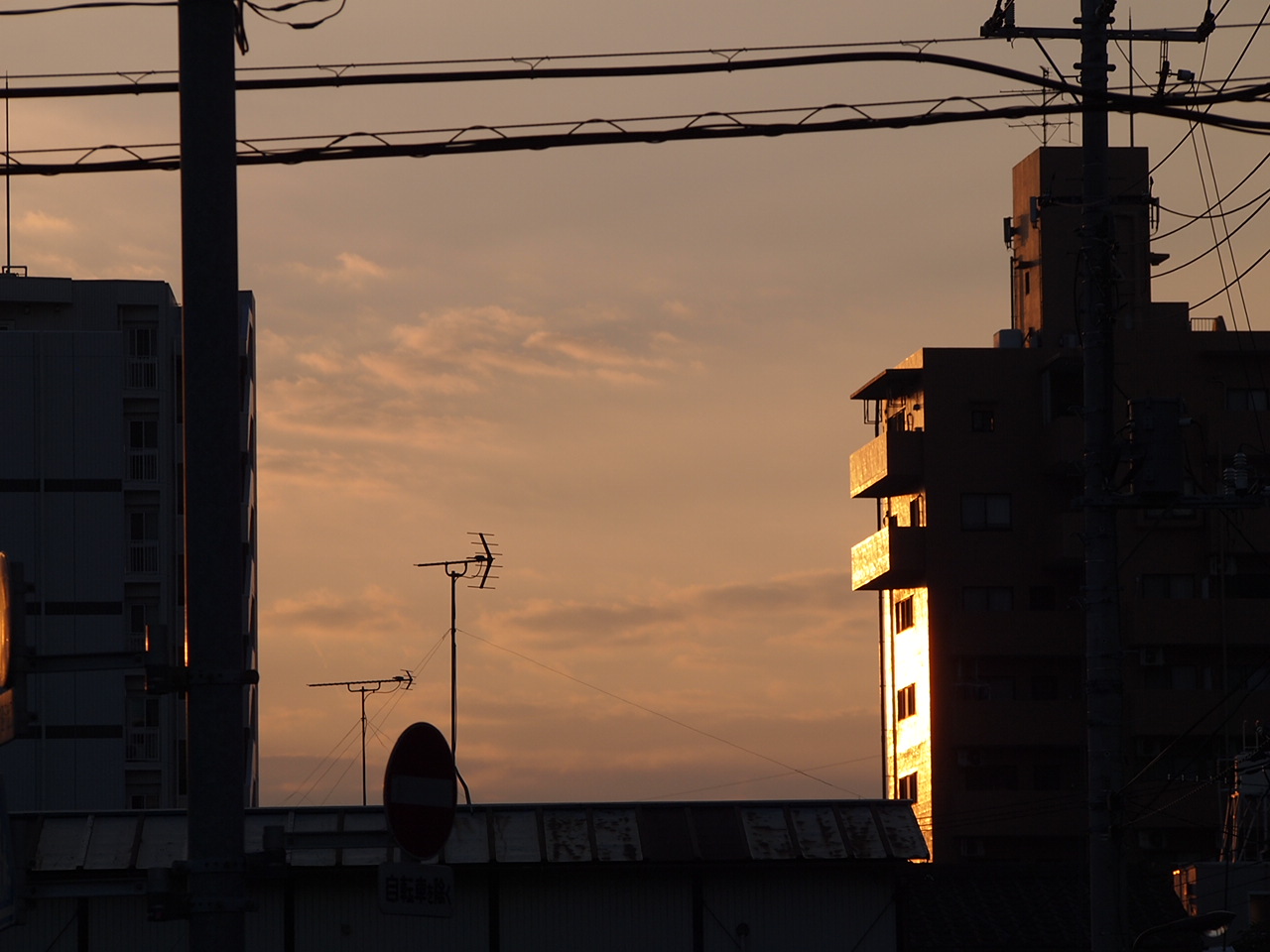 a0214329_16262189.jpg
