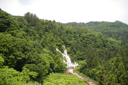 b0283432_22104987.jpg