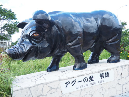 f0215134_01231901.jpg