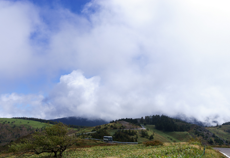 f0237034_20242180.jpg