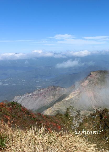 f0142141_8464044.jpg