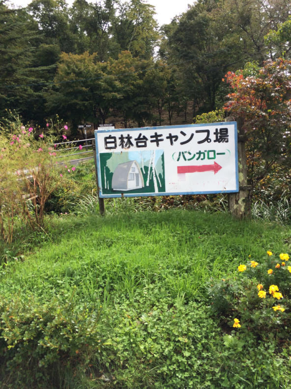 f0219441_17022036.jpg