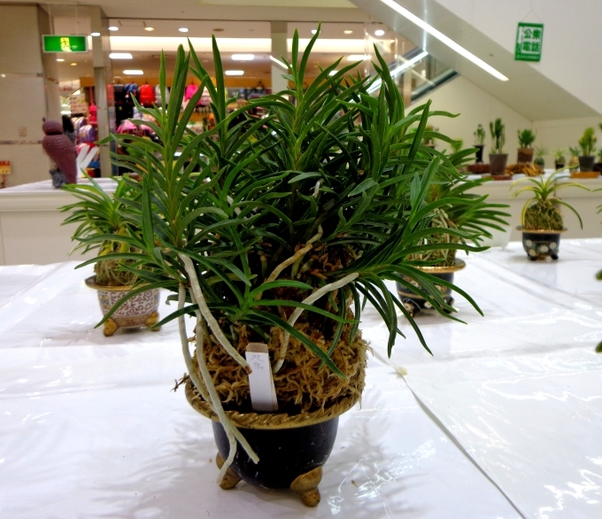 a0353447_21230880.jpg