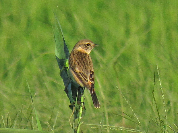 f0214649_426862.jpg