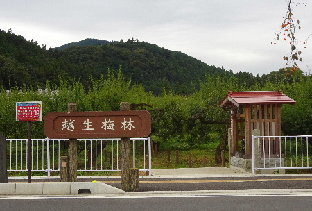 e0172950_2011299.jpg