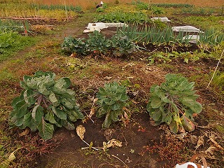 e0004756_20535750.jpg