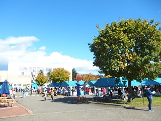 e0004756_2116899.jpg
