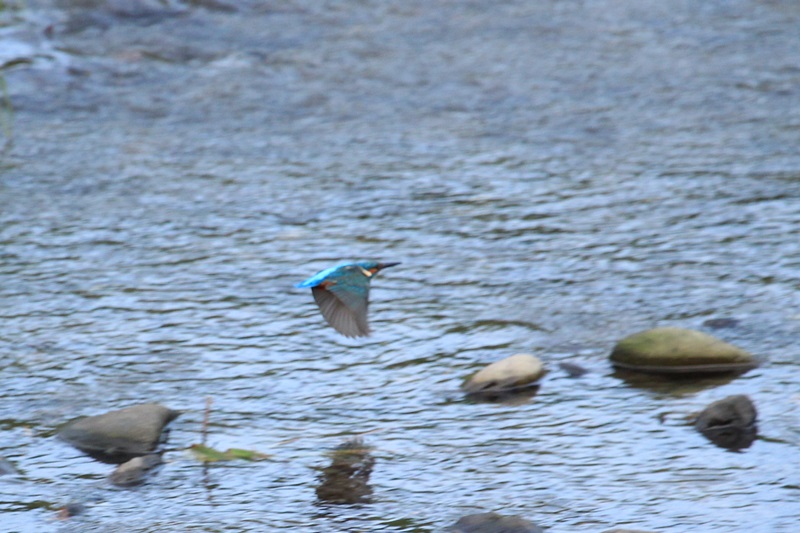 a0167759_3421239.jpg