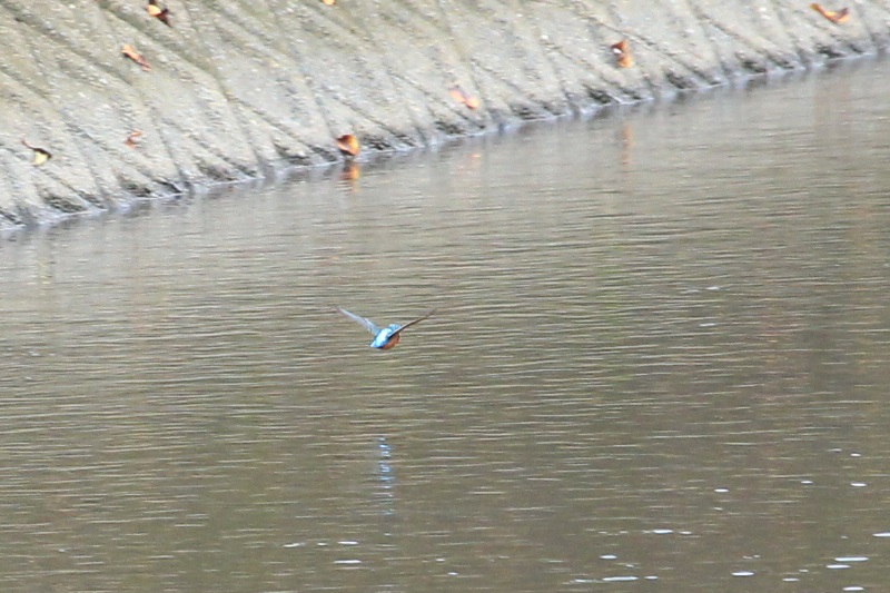 a0167759_3424444.jpg