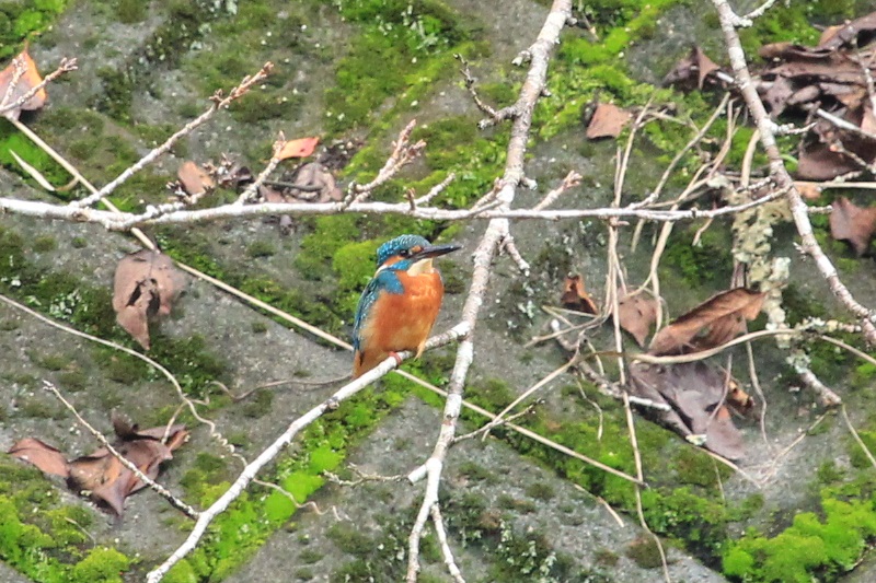 a0167759_3463430.jpg