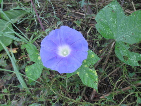 b0300759_07353185.jpg
