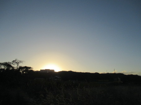 b0300759_07354267.jpg