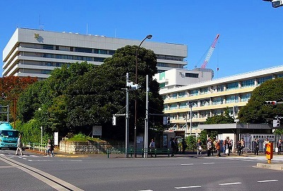 b0171771_11320337.jpg