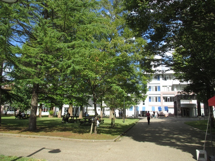 d0129083_15090165.jpg