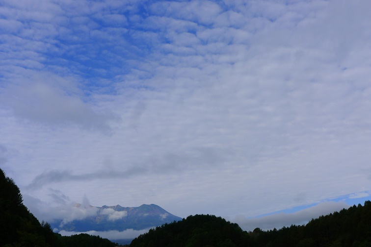 a0130586_84376.jpg