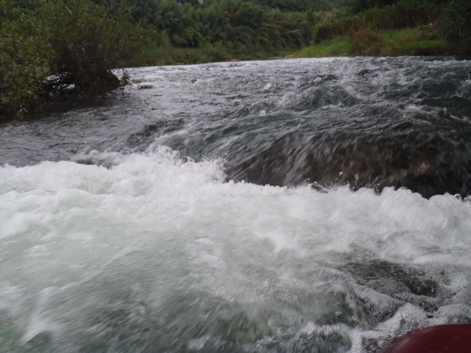 b0139489_20191935.jpg