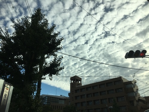 f0347891_21055303.jpg