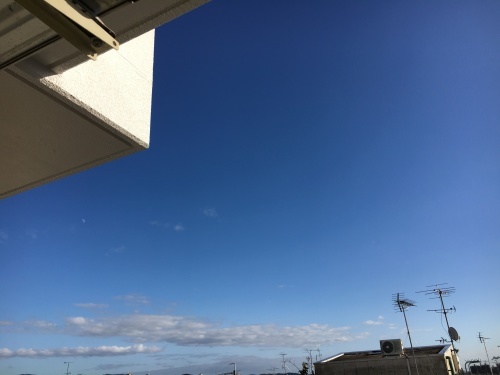 f0347891_21065650.jpg