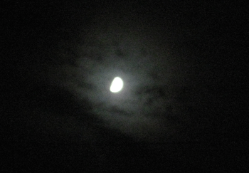 a0030594_20141013.gif