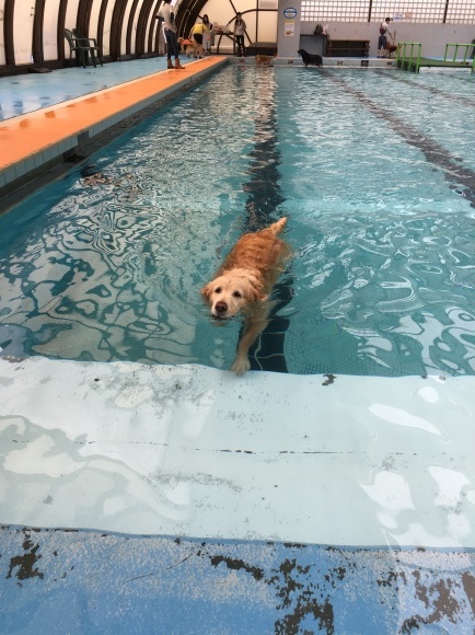 b0275998_11563914.jpeg