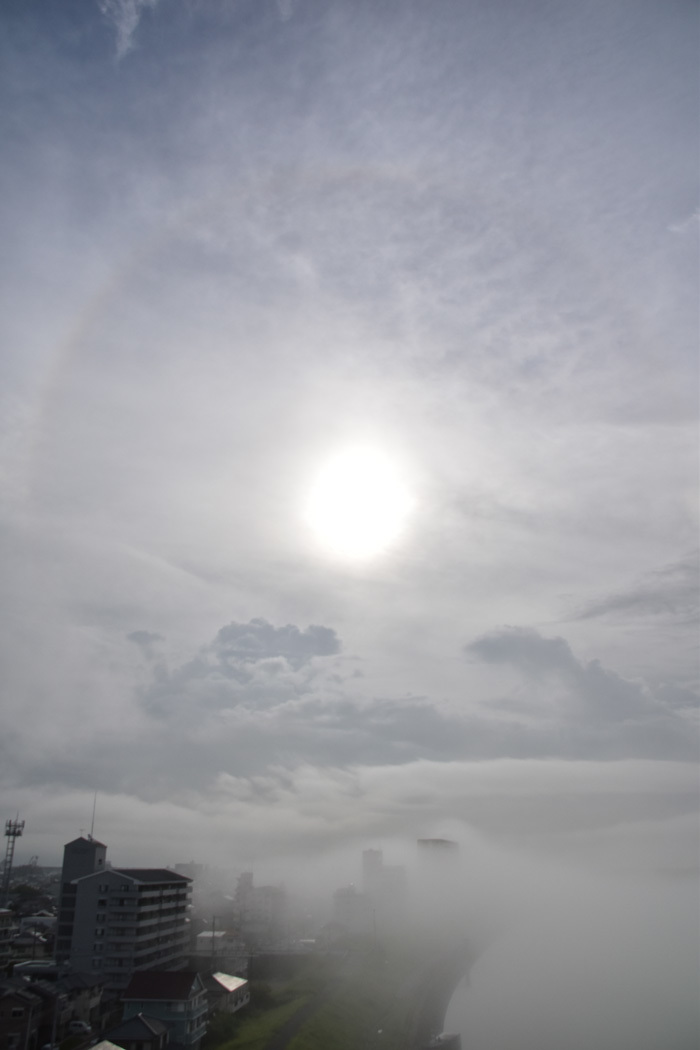 c0049299_22211154.jpg