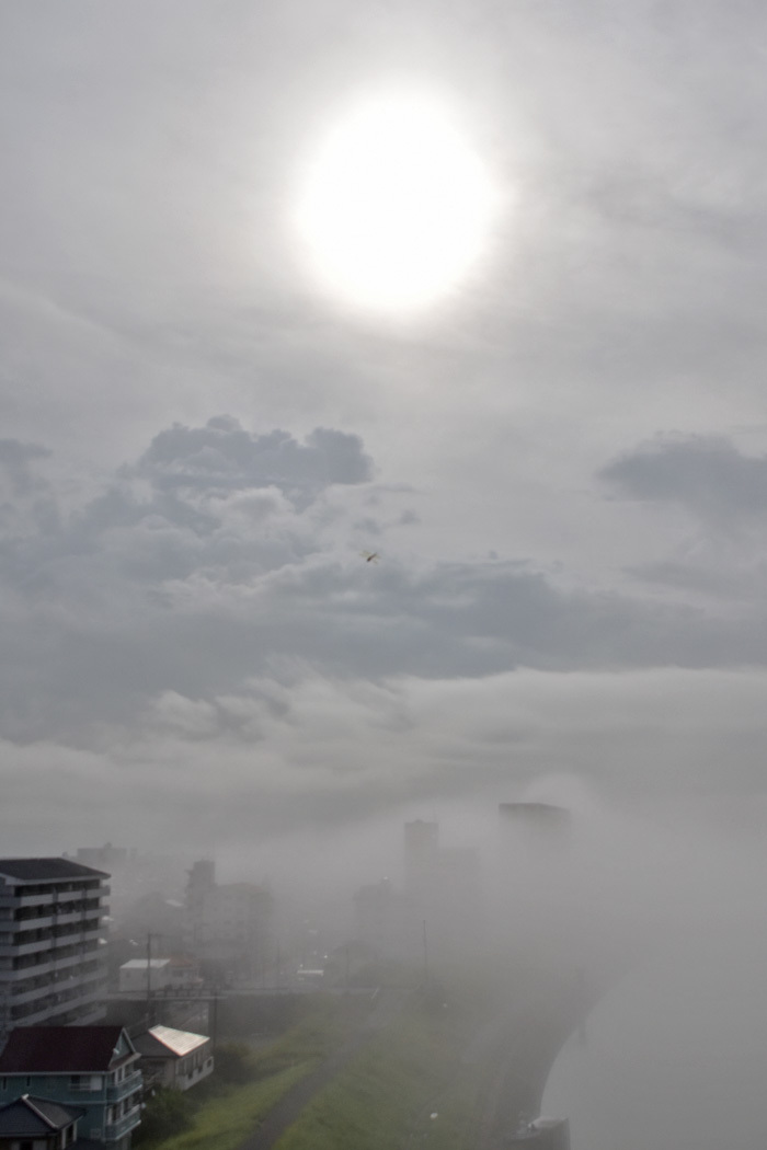 c0049299_22211619.jpg