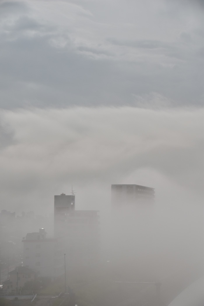 c0049299_22212757.jpg