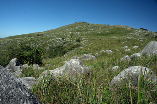 b0014607_19342916.jpg