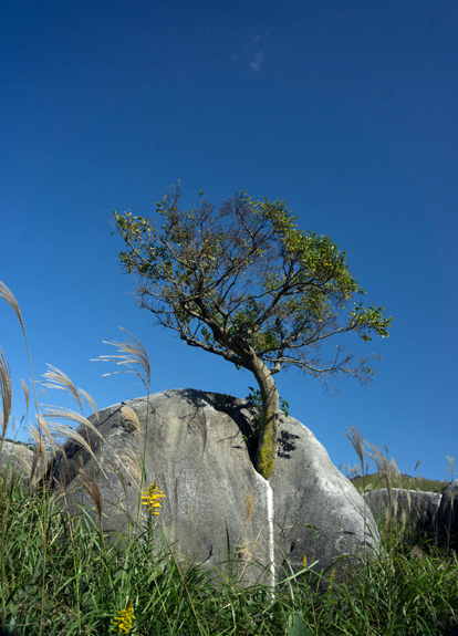 b0014607_19345474.jpg