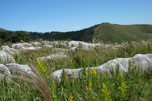 b0014607_19351113.jpg