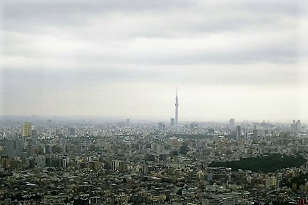 e0041217_1532848.jpg