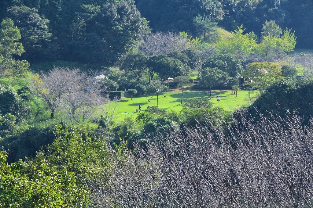 f0174419_23165470.jpg