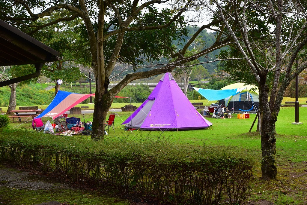 f0174419_23250545.jpg