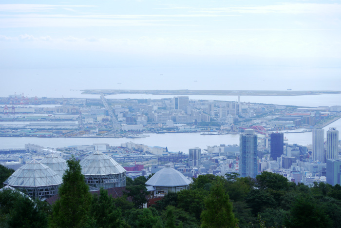 a0335421_20515861.jpg