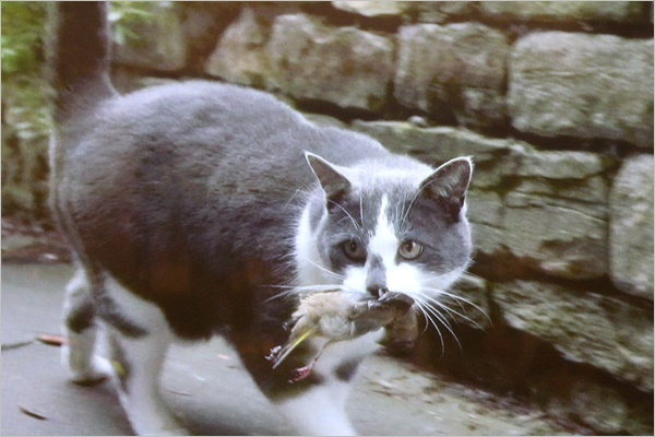 a0198826_21410060.jpg