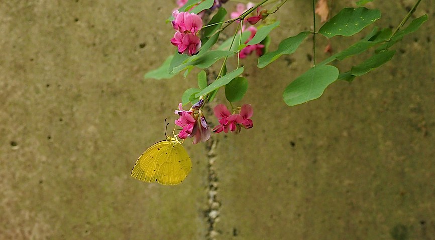 d0303129_242674.jpg