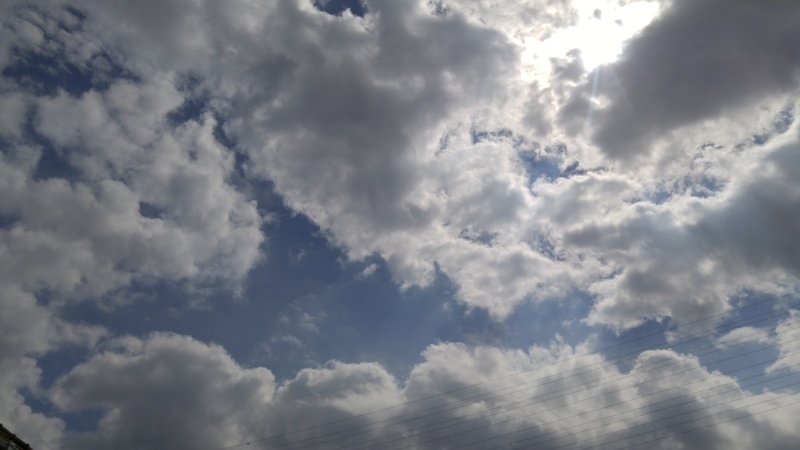f0361132_16290202.jpg
