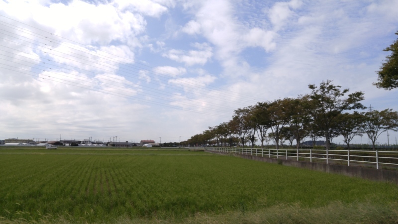 f0361132_17075540.jpg