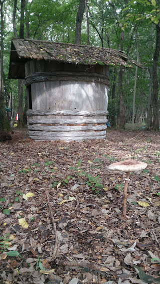 d0092235_13590838.jpg