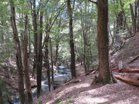 b0334436_12182427.jpg