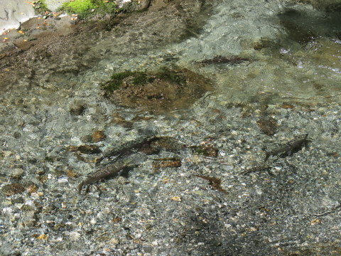 b0334436_12244375.jpg