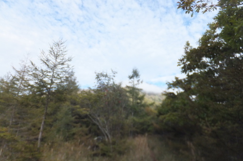 e0041047_05054710.jpg